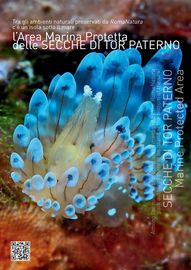 2766_Calendario_RomaNatura