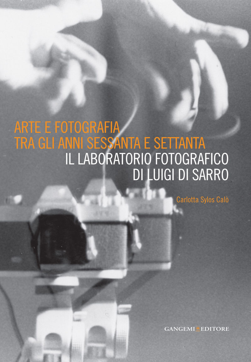 2913_DISARRO